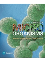 BROCK BIOLOGY OF MICROORGANISMS-TEXT