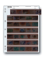 Printfile 35mm Negative Preservers - 25 pack