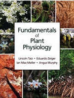 FUNDAMENTALS OF PLANT PHYSIOLOGY