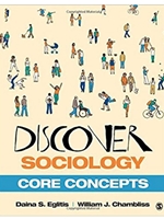 DISCOVER SOCIOLOGY:CORE CONCEPTS