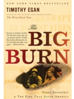 (EBOOK) BIG BURN