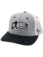 Zephyr Wildcat Banner Snap Back Hat