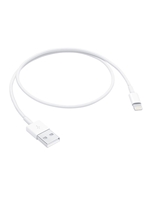 Lightning to USB Cable (0.5 m)