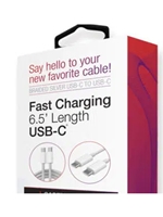 6' USB-C TO USB-C FAST CABLE - SILVER
