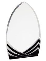 Cathedral Acrylic Award