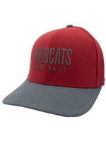 Nike Gray & Crimson Colorblack Hat