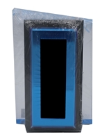 ENG AWARD SM FROSTED IMPRESS 6"