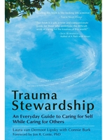 IA:PSY 589: TRAUMA STEWARDSHIP