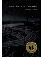 IA:ENG 302: FAITHFUL AND VIRTUOUS NIGHT: POEMS