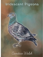 IRIDESCENT PIGEONS