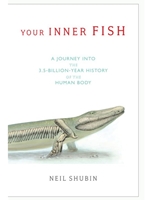 IA:BIOL 353: YOUR INNER FISH