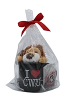 Be My Valentine Package