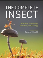 IA:BIOL 351: THE COMPLETE INSECT