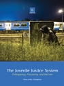 JUVENILE JUSTICE SYSTEM