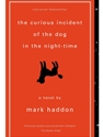 CURIOUS INCIDENT OF DOG IN NIGHT-TIME - ATTEND CLASS BEFORE PURCHASING