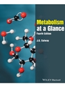 METABOLISM AT A GLANCE