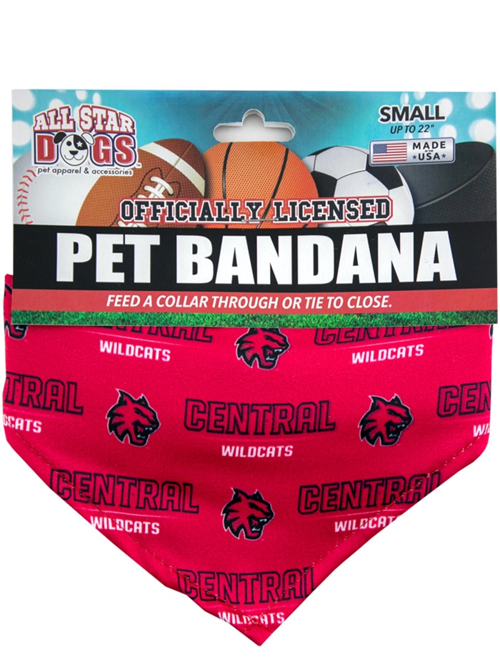 Washington Commanders Reversible Pet Bandana Size: Small/Medium