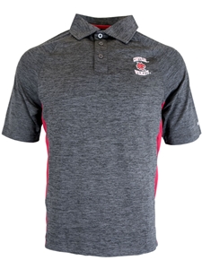 Central Wildcats Colosseum Polo