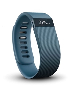 Fitbit Charge Slate - Large