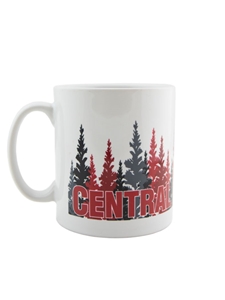 Central Washington Mug