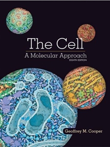 CELL: MOLECULAR APPROACH
