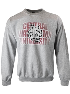 Central Gray Crew Neck Sweatshirt