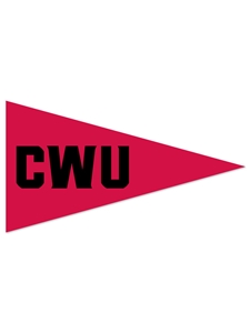 Central Mini Pennant Magnet