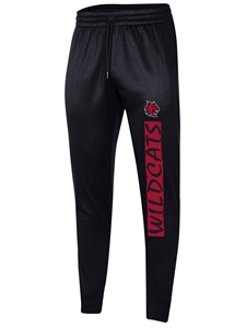 Under Armour Jogger Pant