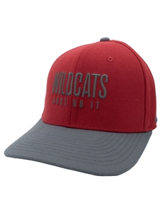 Nike Gray & Crimson Colorblack Hat