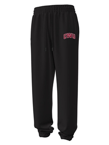 Under Armour Fleece Puddle pant