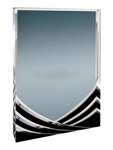Rectangle Acrylic Award