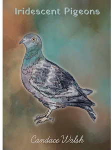 IRIDESCENT PIGEONS