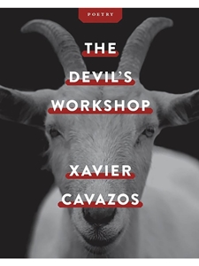 THE DEVIL'S WORKSHOP