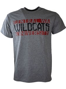 Graphite Central Tee