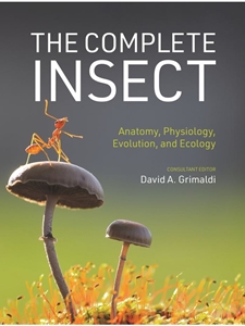 IA:BIOL 351: THE COMPLETE INSECT