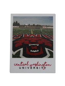 Tomlinson Field Polaroid Sticker
