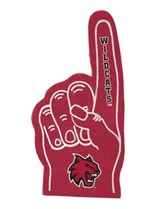 Wildcats Foam Hand Magnet