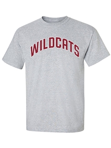 Gray Everyday Value Tee