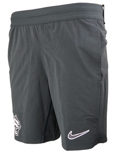 Nike Gray Shorts