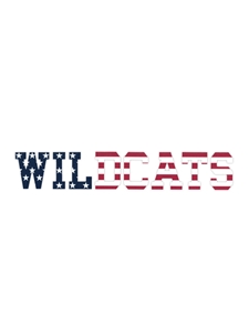 WILDCATS American Flag Decal