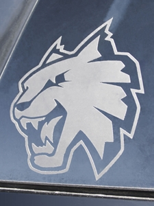 Clear WILDCAT Decal